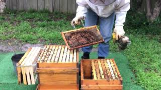 Swarm Prevention with OSBN - 4th Inspection