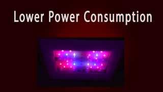 Key advantages of using LED Grow Lights vs. HPS or Metal Halide