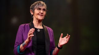 Why Are We Making Pizza Boxes Out of Endangered Trees? | Nicole Rycroft | TED