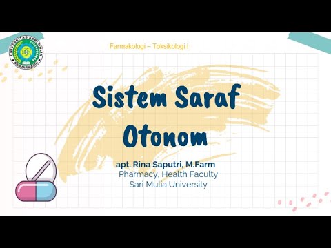 Video: Dalam sistem saraf otonom, serat manakah yang bersifat adrenergik?