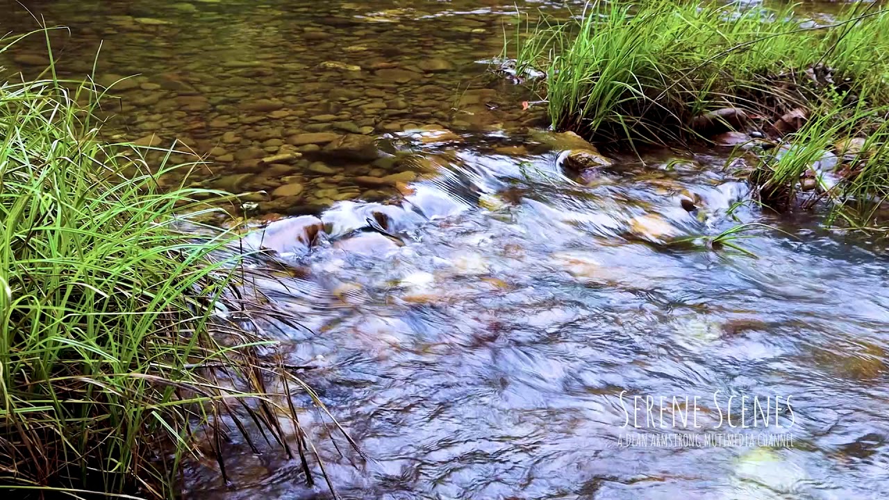 Howqua River [Part 1] 1HR HD Relaxation