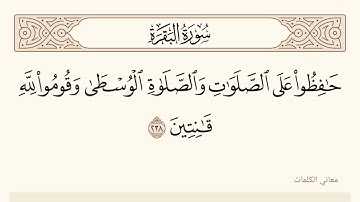 الشيخ محمد عبد الوهاب الطنطاوى... نوادر. سوره البقره.. رحمه الله