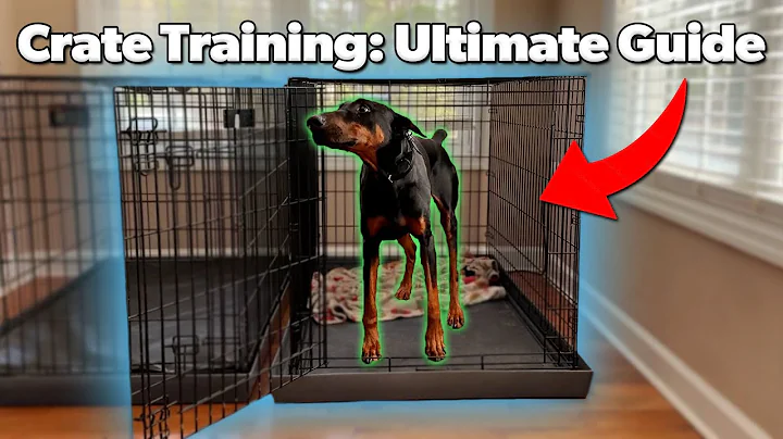 Crate Training Your Dog: The Ultimate Guide