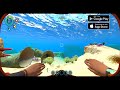 Game Mobile | Subnautica | Snapdragon 680