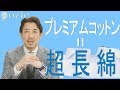 プレミアムコットン＝超長綿とは？　 ｜シャツの専門店 ozie
