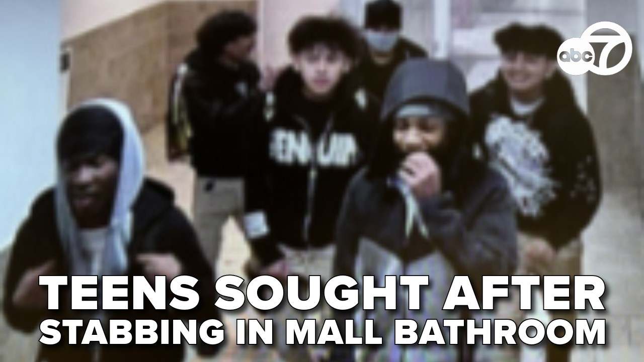 Man stabbed by group of 7 teens in Wheaton Mall restroom; $10K reward ...