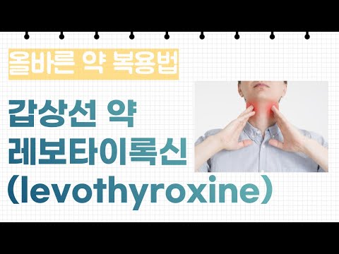 갑상선 약 레보타이록신 (levothyroxine) 올바르게 복용하는 법, 주의해야할 약