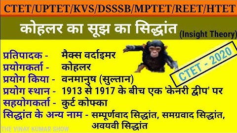 कोहलर का सिद्धांत | Kohler insight theory of learning