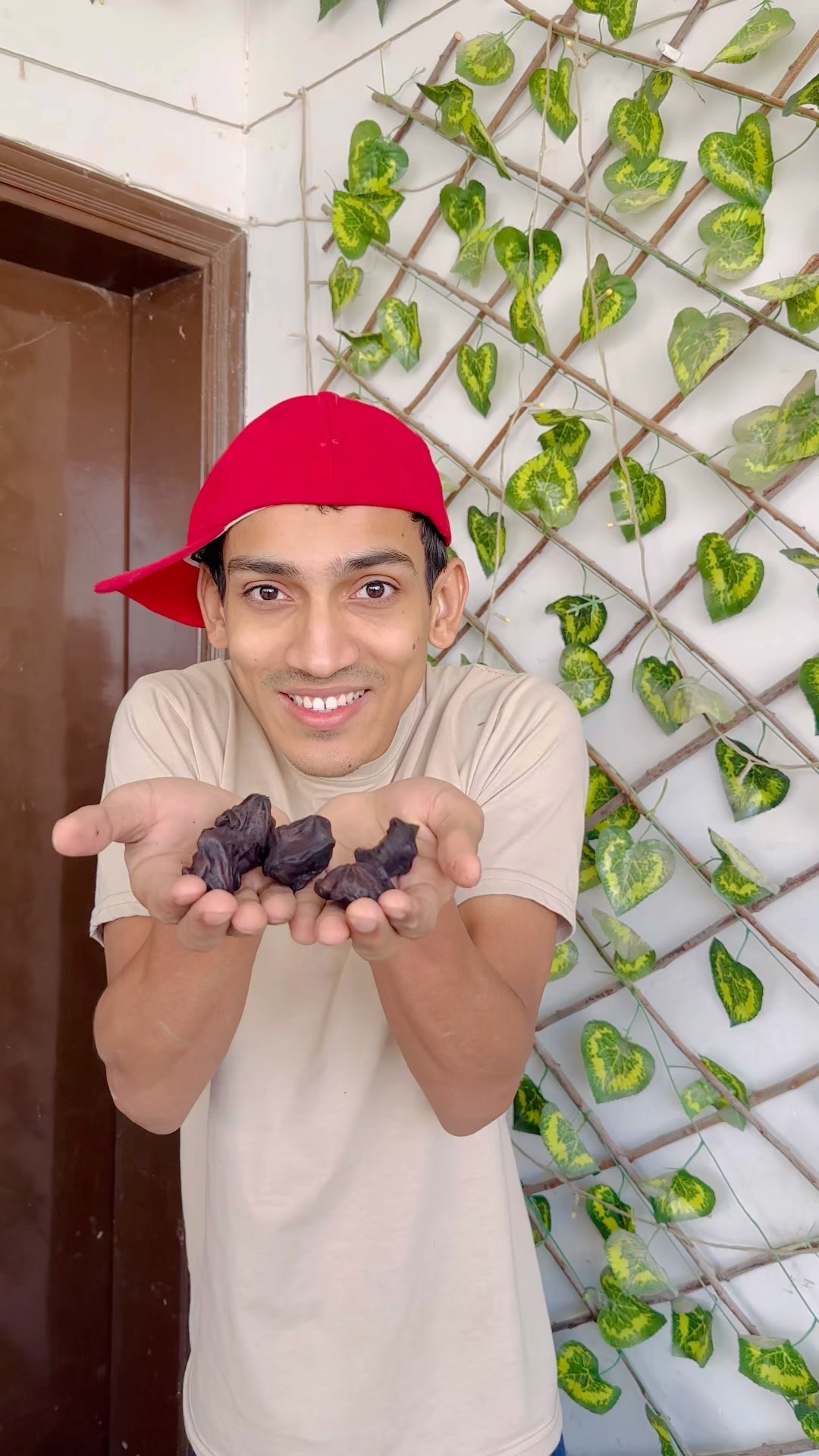 Feeding To Monkey ?|