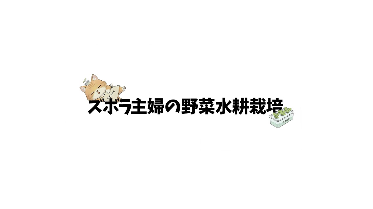 ズボラ主婦の野菜水耕栽培 のライブ配信