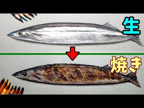 色鉛筆でサンマを描いてみた 生 焼き Draw Realistic Grilled Fish Youtube