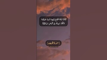 سورة الكهف الآية ٦٠ الى ٦٢ بصوت الشيخ محمد صديق المنشاوي