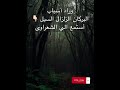 وراء اسباب البركان الزلزال السيل أستمع لما قاله الشعراوى رحمه الله وراء اسباب البركان الزلزال السيل أستمع لما قاله الشعراوى رحمه الله