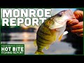 Monroe Fishing Report!