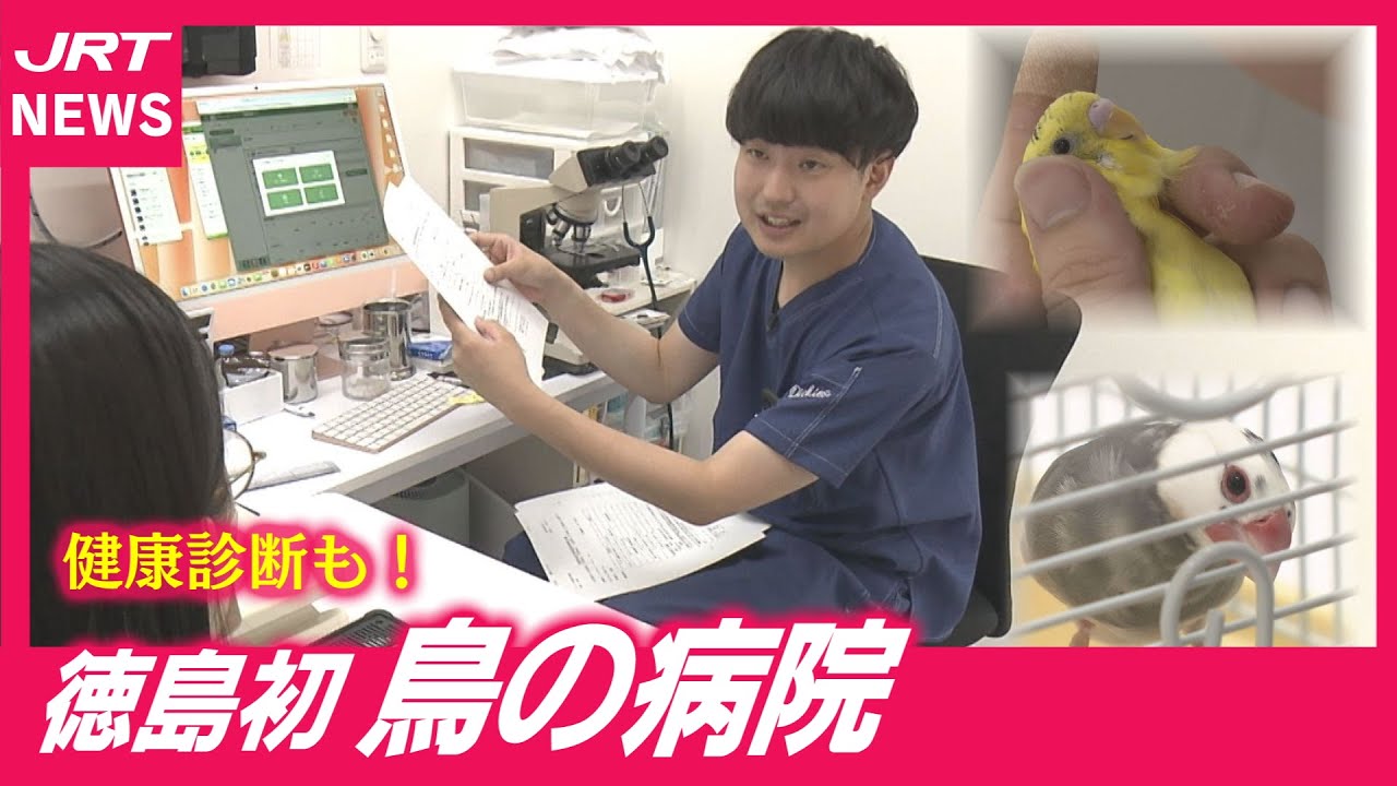 【調査】徳島初の「鳥の病院」一体どんなところ？