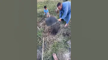 صوت الفأس في الارض اتحضر للاخضر 