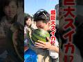 スイカ割りみんなはしたー？#スイカ割り#かなと