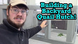 Building a Backyard Quail Hutch!