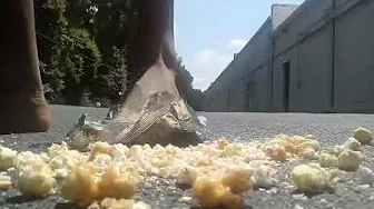 Popcorn Trampling 2