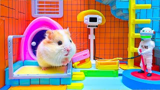 Outsmarting the Flames  Hamster and Maze Escape Journey 🐹 Maze for Hamster