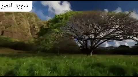 سورة النصر  القارئ  علي بن عبدالله أبو زيد