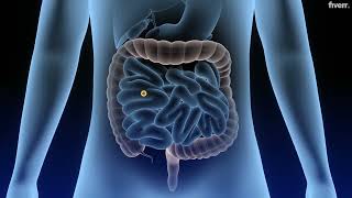 3D Medical Animation | Transform Complex Medical Ideas into Stunning Visual Stories