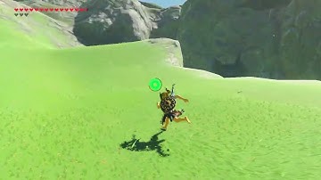 [DAY 676] of finding one korok seed everyday until Totk comes out