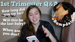 Pregnancy Q&amp;A // 1st Trimester Updates