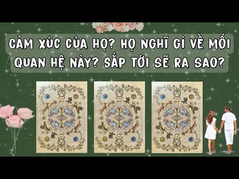 Video: Bạn đã sẵn sàng cho một mối quan hệ trực tiếp?