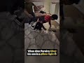 Alex pariera Ko,d His Son in Pillow fight/Funny Momment  #alexpareira  #ufc