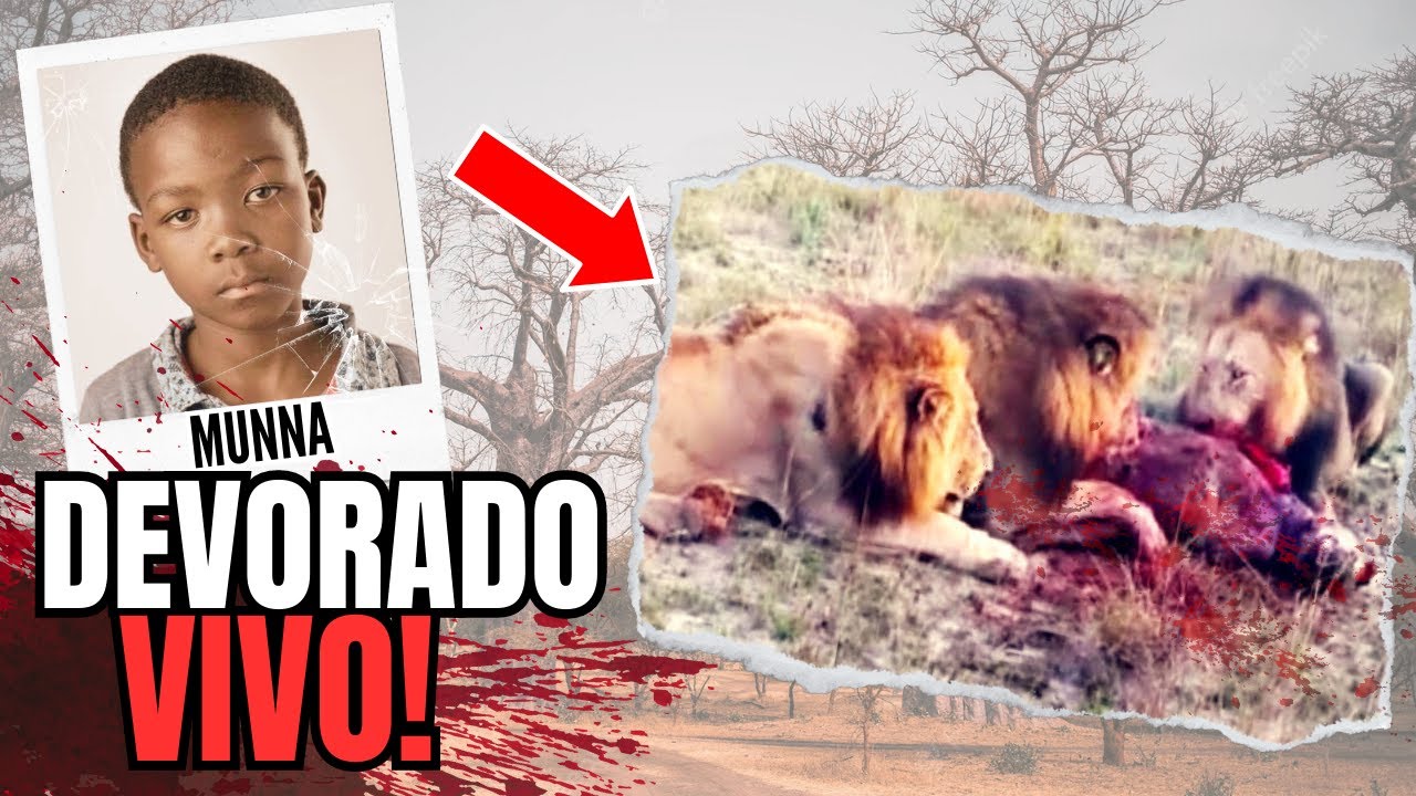 El Ataque de León Más BRUTAL de la Historia