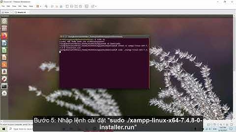 Hướng dẫn cài xampp trên ubuntu server
