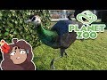Dramatic Fate of an Animal ESCAPE!! 🦒 Planet Zoo BETA • #5