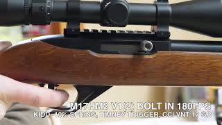 17 Mach 2 1022 Bolt Testing