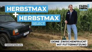 Forage production in the spring: HerbstMax & HerbstMax Select after late-harvest crops!