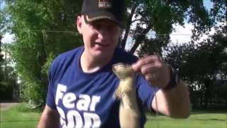 How to Catch a Gopher