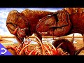 T-Rex VS Giganotosaurus | Which Was The TRUE King?!