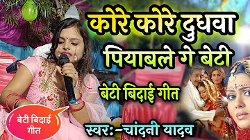 beti bidai geet|| kore kore dudhwa piyawale ge beti ||#Chandani yadav का विवाह गीत