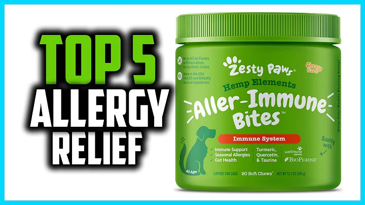 ✅Top 5 Best Allergy Relief for Dogs in 2024