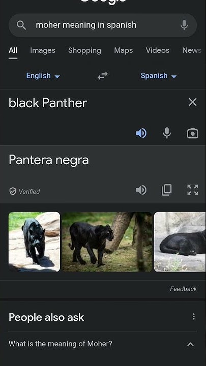 how-to-say-black-panther-in-spanish-shorts-youtube