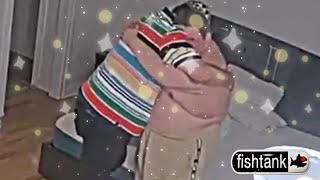 Frank Hle Comforts Airsoft Fatty As He Cries Fishtank