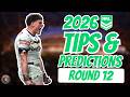 NRL 2026 Tips &amp; Predictions: Round 12