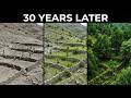 How Ethiopia Is Restoring Entire Forests Without Planting Trees With Simple Ecological Systems