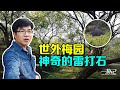 【一游记】广东陆河万亩世外梅园，穿越梅园迷踪寻找风响石，结果巧遇神器的雷打石