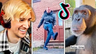 xQc LAUGHS OUT LOUD at TikTok Memes for 41 Minutes