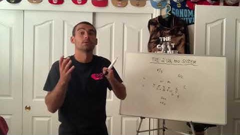 2 QB RPO System: Speed Option