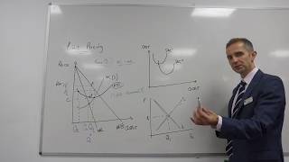 Limit Pricing