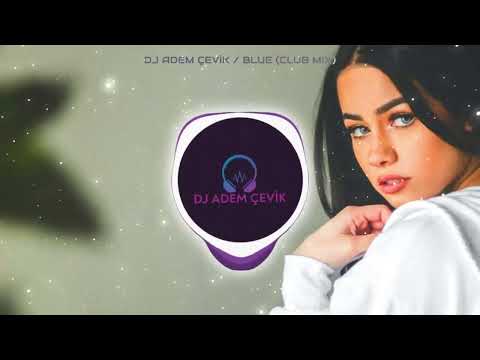 Dj Adem Çevik - BLUE 2022 #tiktokremix