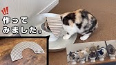 エリザベスカラーの作り方 柔らかエリザベスカラーの作り方 Youtube エリザベスカラーの作り方 柔らかエリザベスカラーの作り方 Youtube