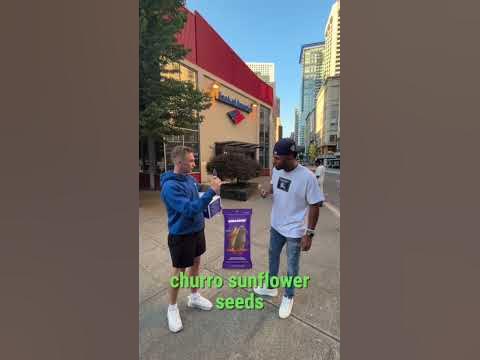 Brewers Stud Jackson Chourio Said THIS About Our Cinnamon Churro Seeds😳